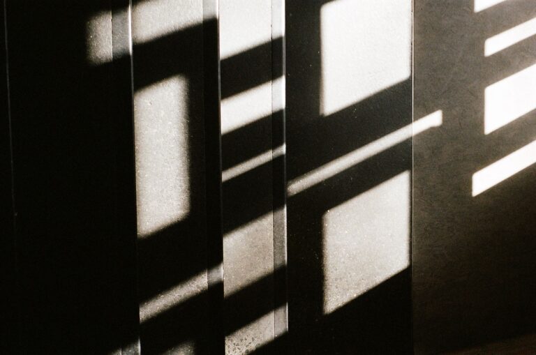 „Save the Dates“ – Veranstaltungstermine im Wintersemester 2024/25