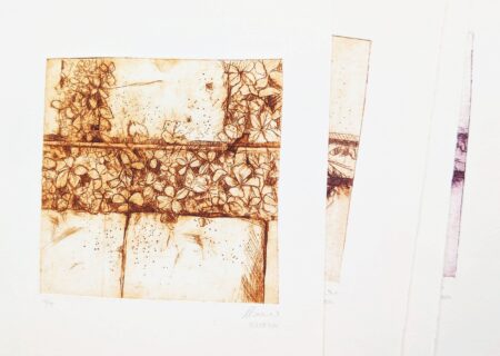 Zum Artikel "Veranstaltungen im Wintersemester 2024/25"